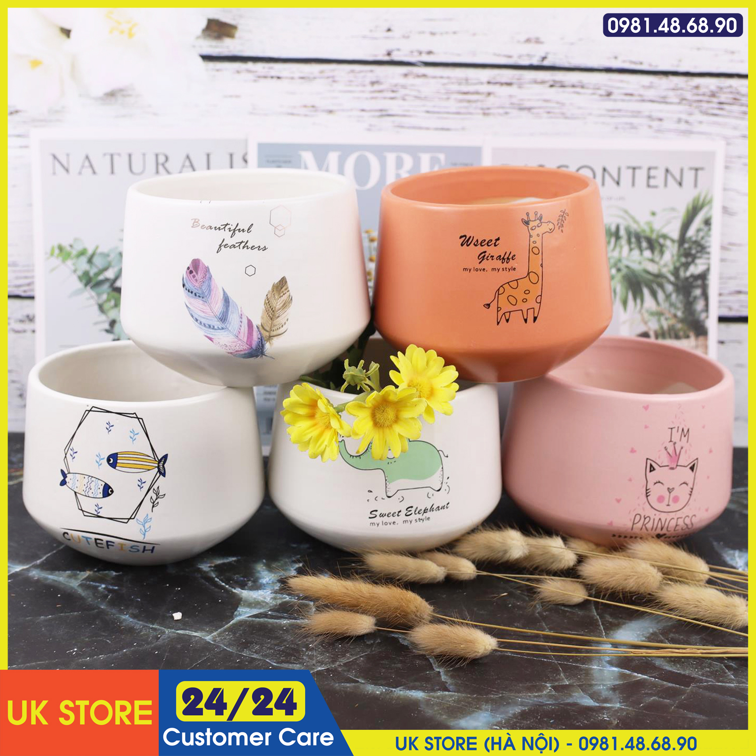 Chậu Sứ Bát Tràng Trồng Cây Cảnh, Sen Đá, Xương Rồng Kiểu Chậu Kim Cương Bát Cao 9.5cm