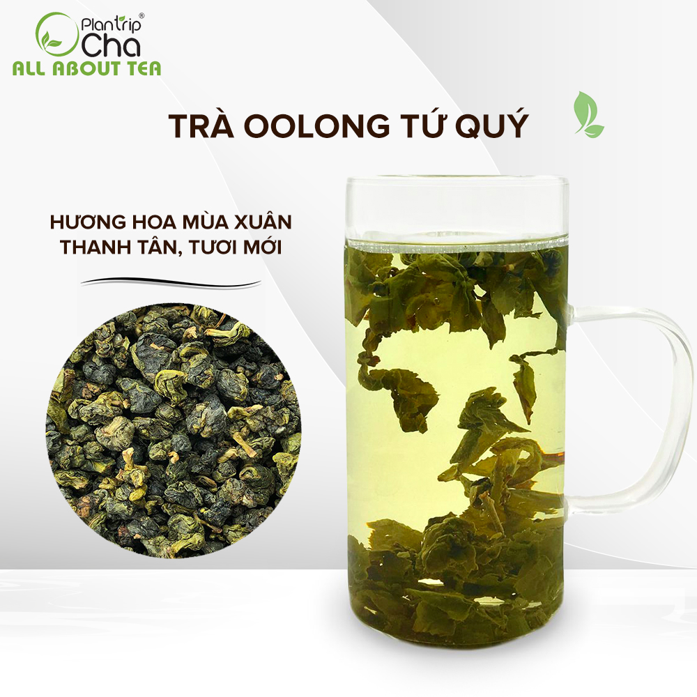 Trà oolong tứ quý plantrip cha hương hoa tươi mới - hộp 50-100gr
