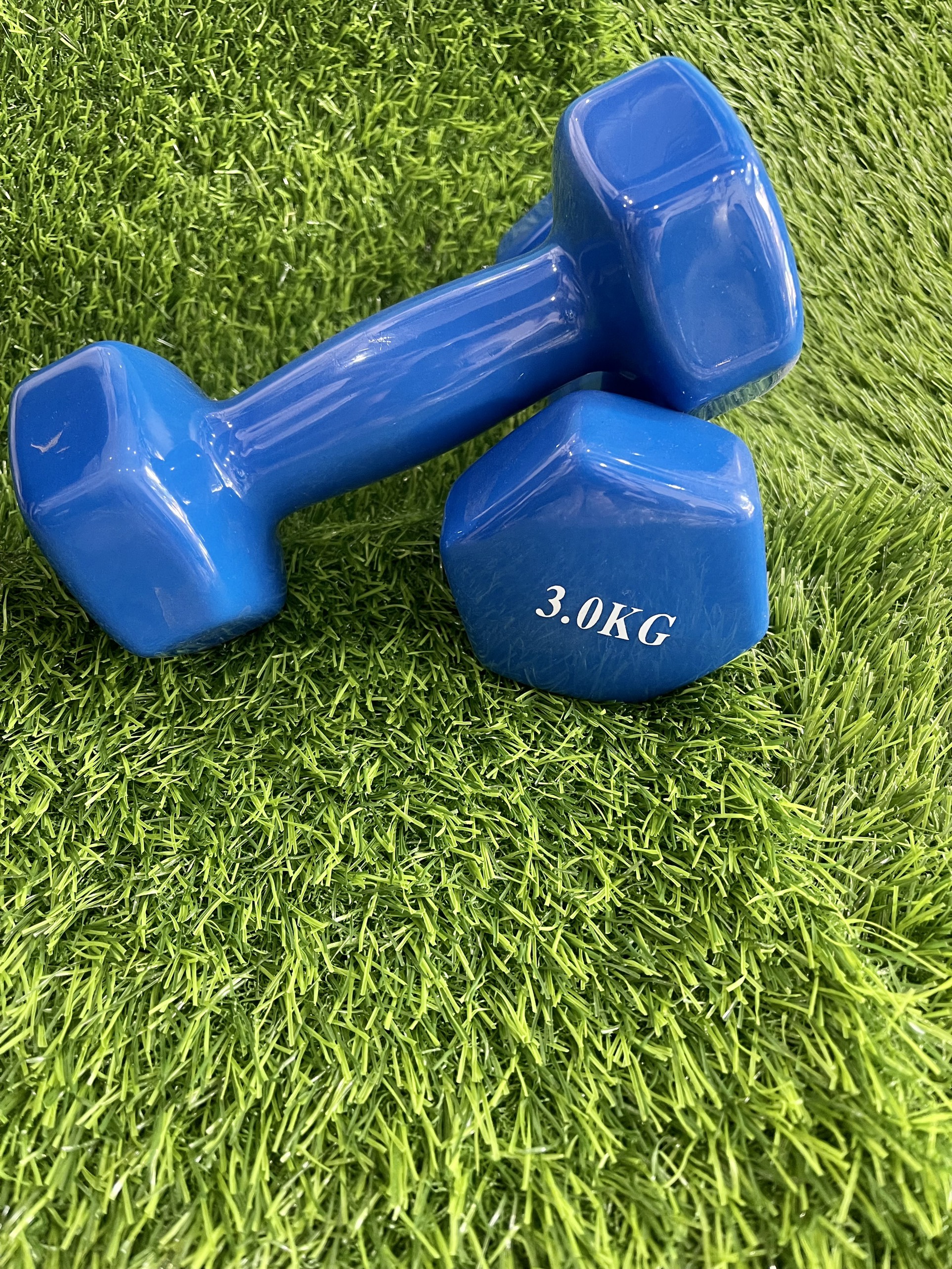 1 quả Tạ tay ProSports 3kg