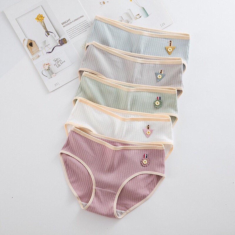 Combo 5 quần lót cotton tăm kháng khuẩn có đính hoạ tiết khuy
