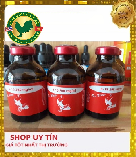  B15 250 mg ml CHAI 20ML  - TĂNG THỂ LỰC VÀ TĂNG BO ĐÁ KHÔNG NÓNG GÀ 