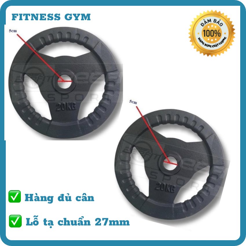 Bộ 2 Bánh Tạ Gang 20kg (Tổng 40kg) Lỗ 27mm