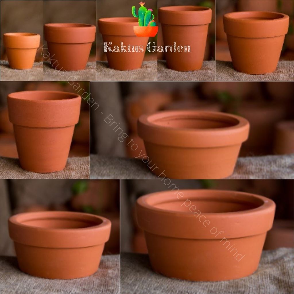 Chậu đất nung đỏ - trồng sen đáxương rồng - Kaktus Garden