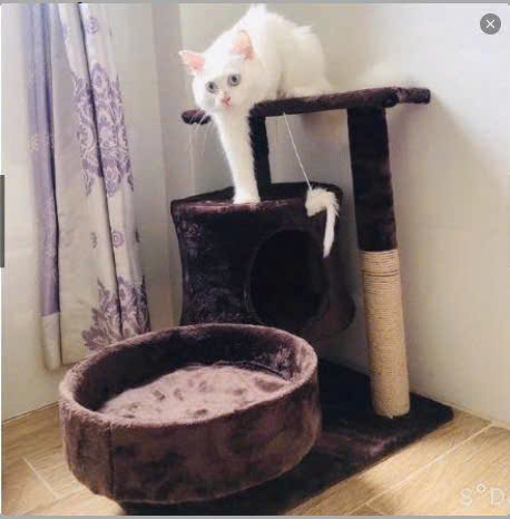 Home Tree for cat-CatTree home Cat 3 floor with cylindrical rake claw for cat maid cat down is the risk of suffering from obesity - 2