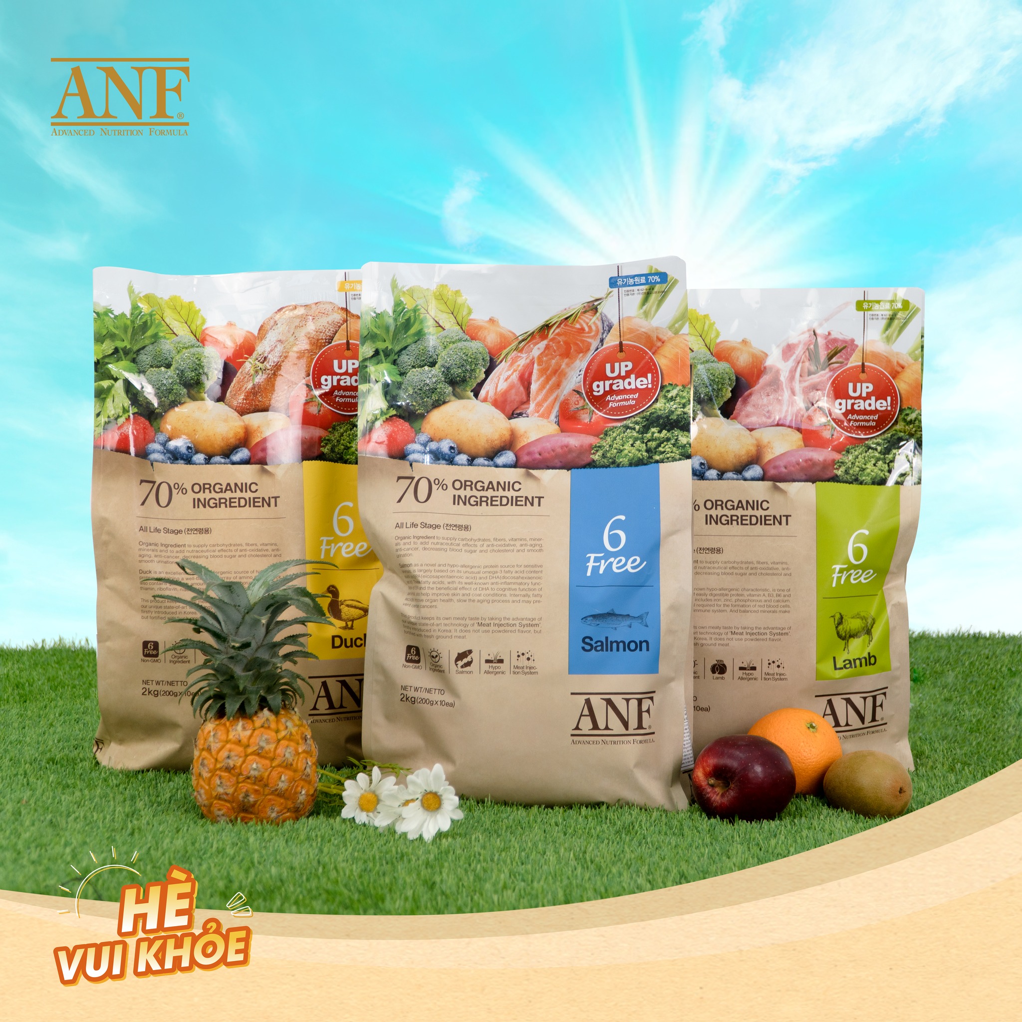 Hạt chó anf 6 free bao 2kg