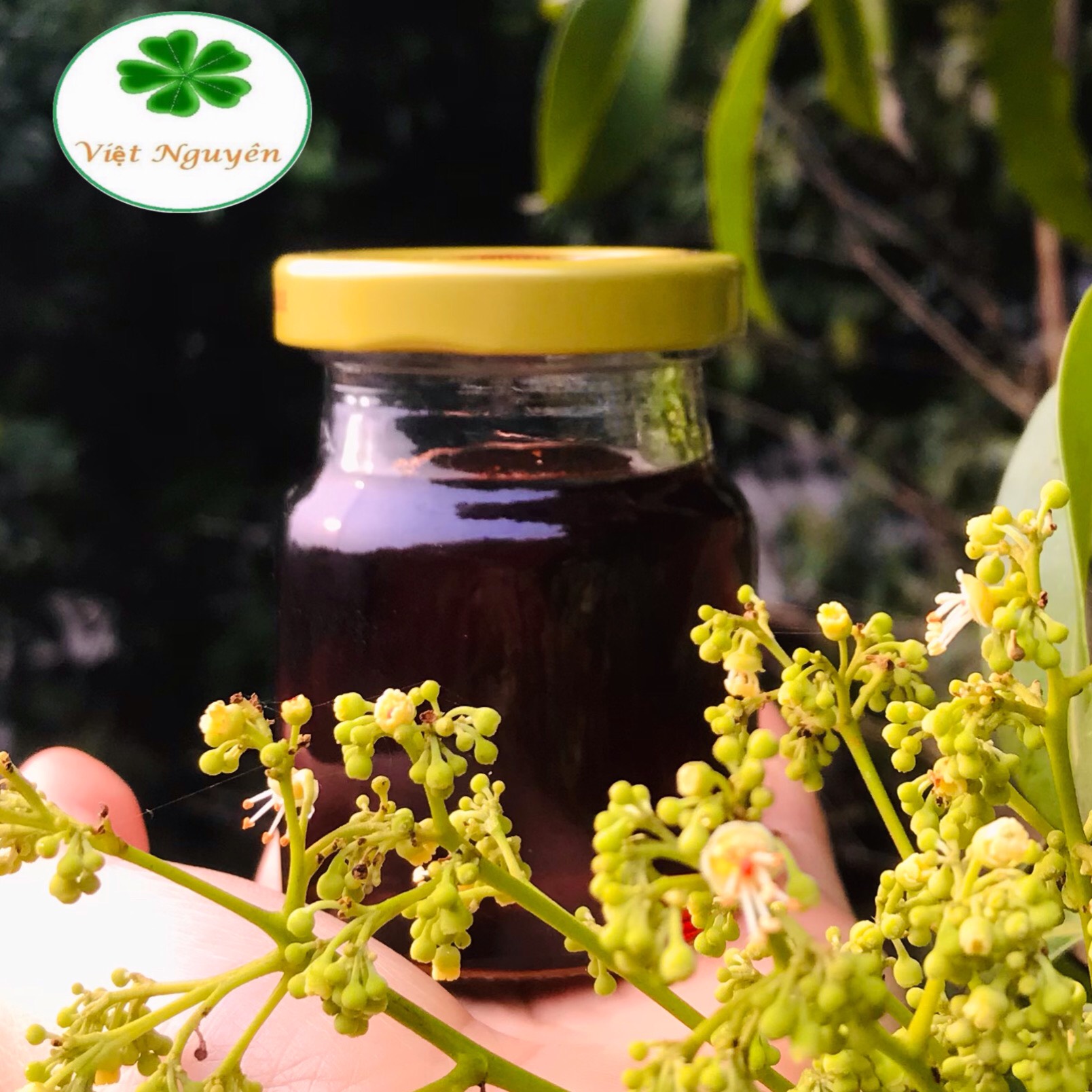 Mật ong rừng nguyên chất, mật ong tự nhiên 100% Việt Nguyên