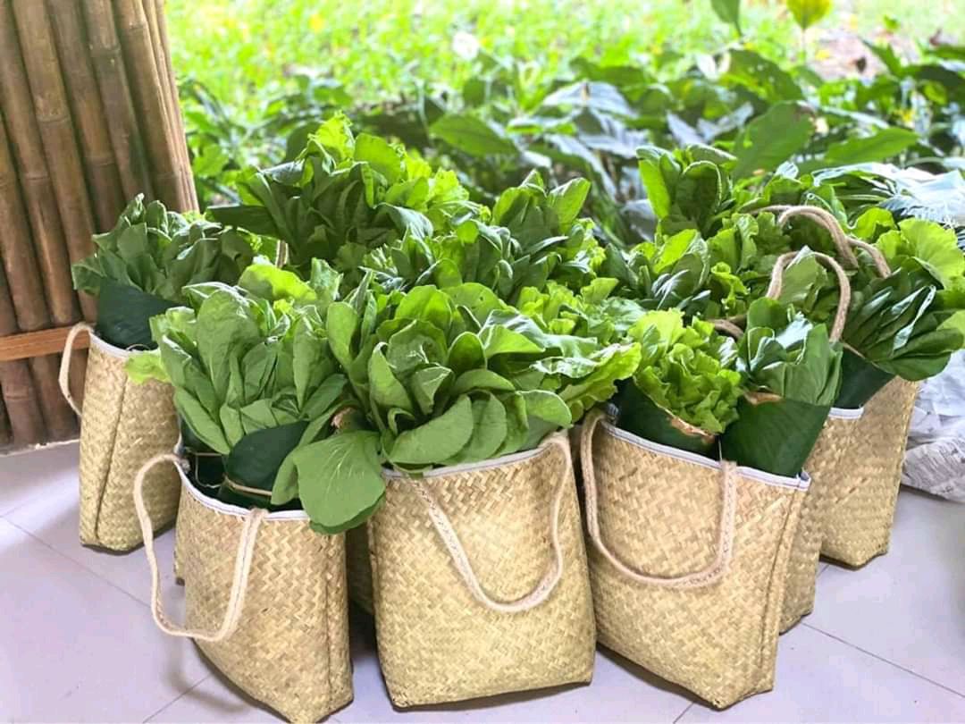 Bị cói đựng hoa quả, đi chợ