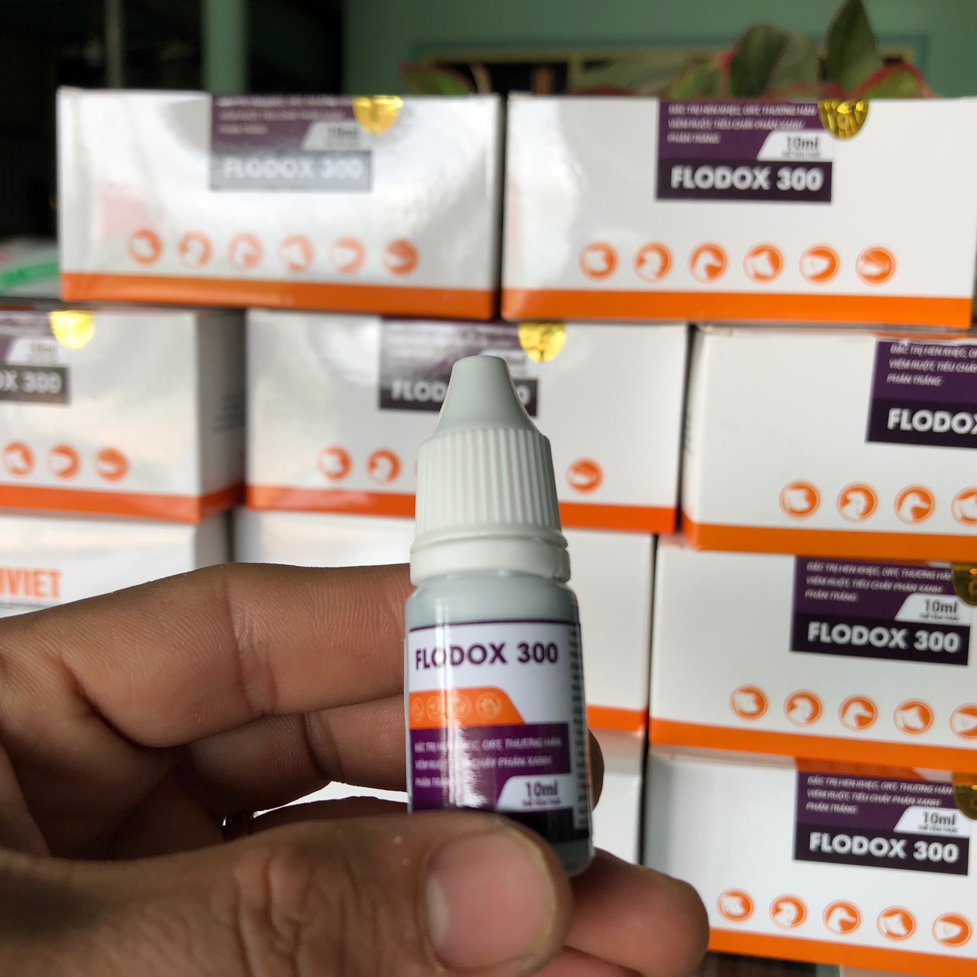 Combo 5 Flodox 300 chai 10ml