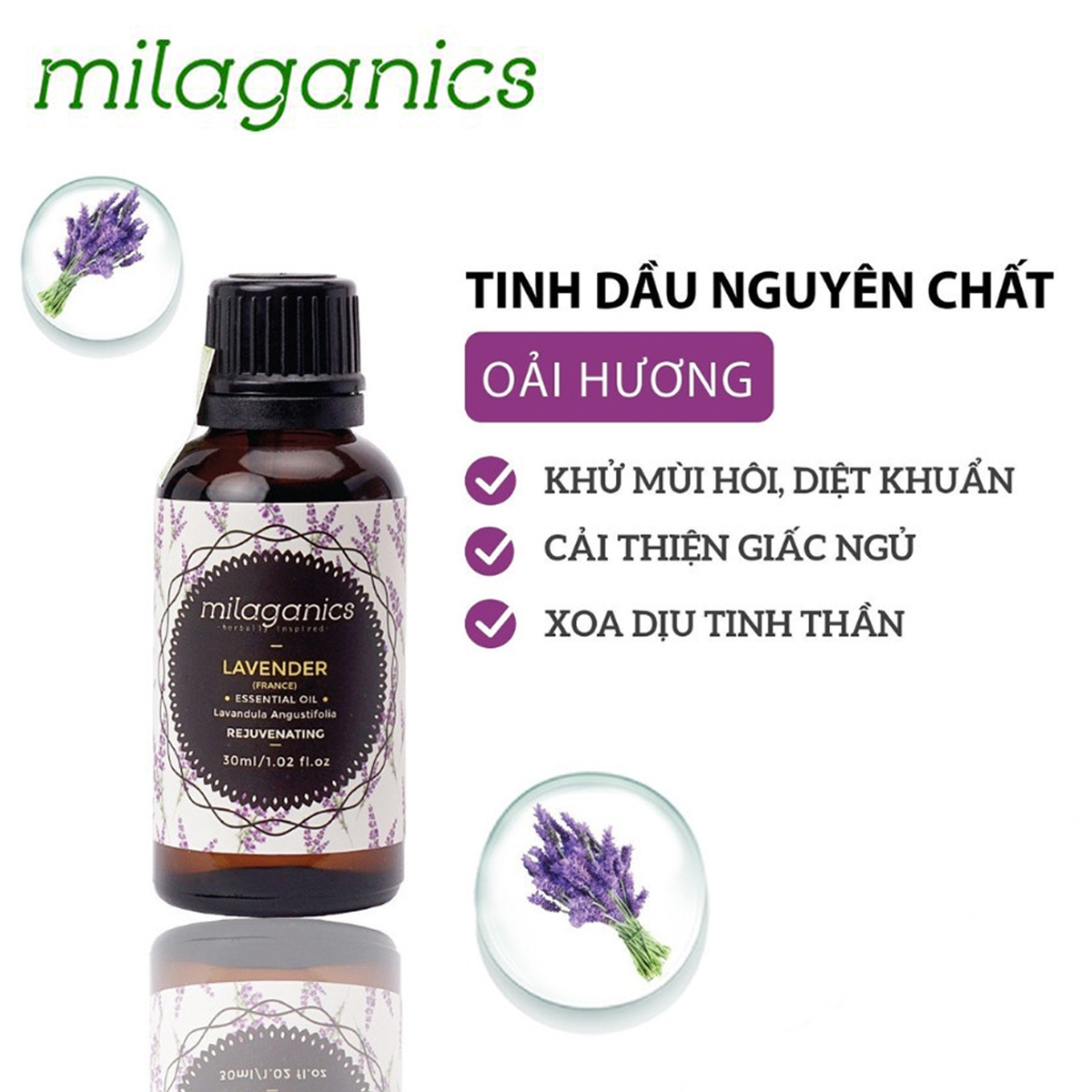 Tinh dầu oải hương milaganics