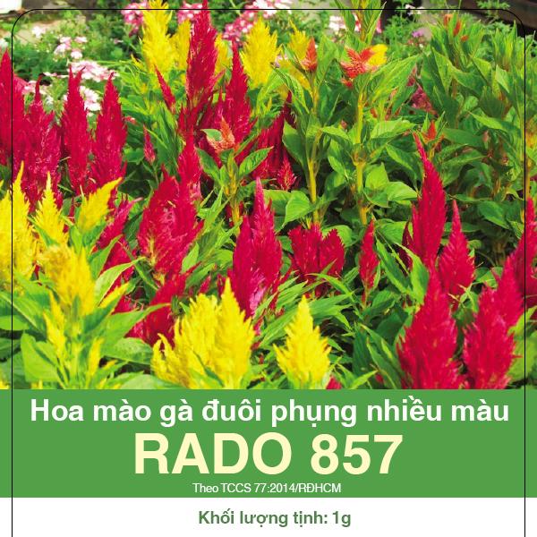 [HCM]GÓI 1GRAM - HẠT GIỐNG MÀO GÀ ĐUÔI PHUNG MIX . DỄ TRỒNG HOA ĐẸP GIÁ TỐT.