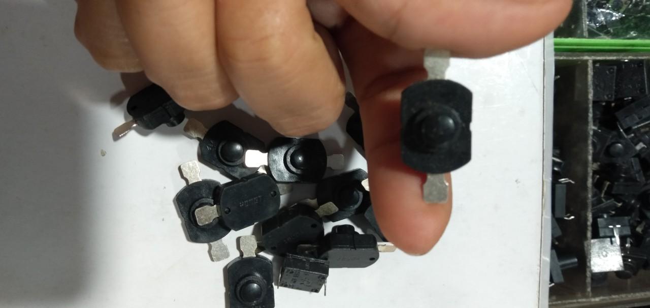 10 Công tắc đèn pin 2 chân