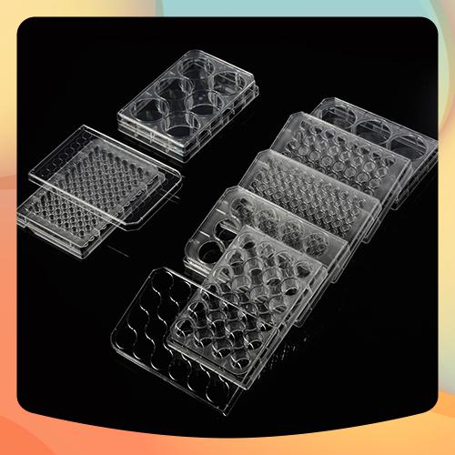 Phiến nuôi cấy tế bào 48 giếng, tiệt trùng 1 cái túi, Mã 07-6048, Biologix