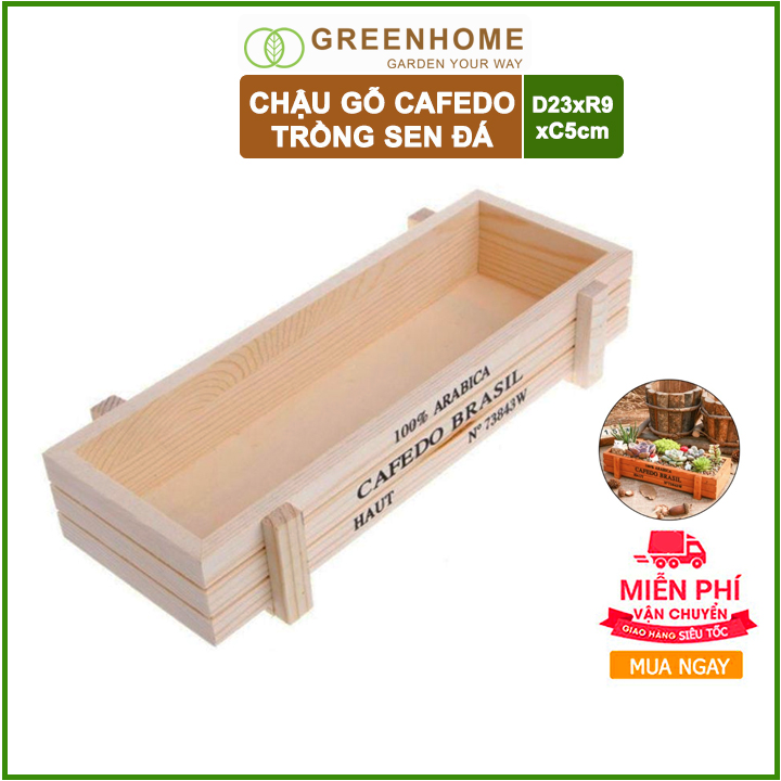Chậu gỗ trồng sen đá xương rồng cây cảnh để bàn tiểu cảnh Cafedo 22x9x4cm màu Gỗ