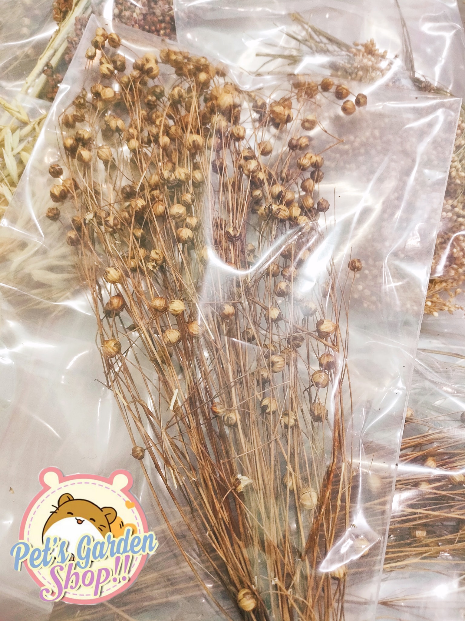 Cành lanh nguyên hạt - Thức ăn cho hamster