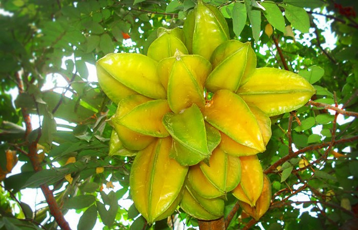 XlztUuVUC9jZWGfPHQ7X_simg_d0daf0_800x1200_max.jpg