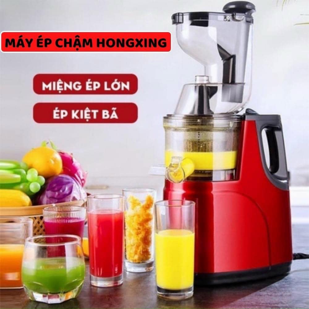 Máy ép trái cây chậm Hongxin RH312 , Máy ép hoa quả, rau củ cỡ lớn, ép nguyên quả, Hàng chính hãng - Bảo hành 12 Tháng