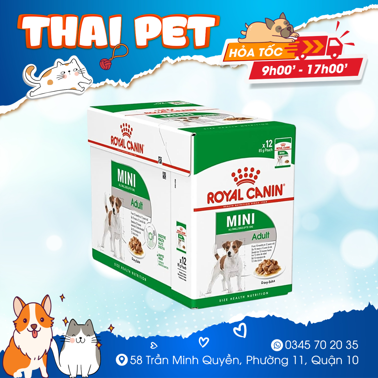 Pate Cho Chó Royal Canin Mini Adult Chó Trưởng Thành Giống Nhỏ