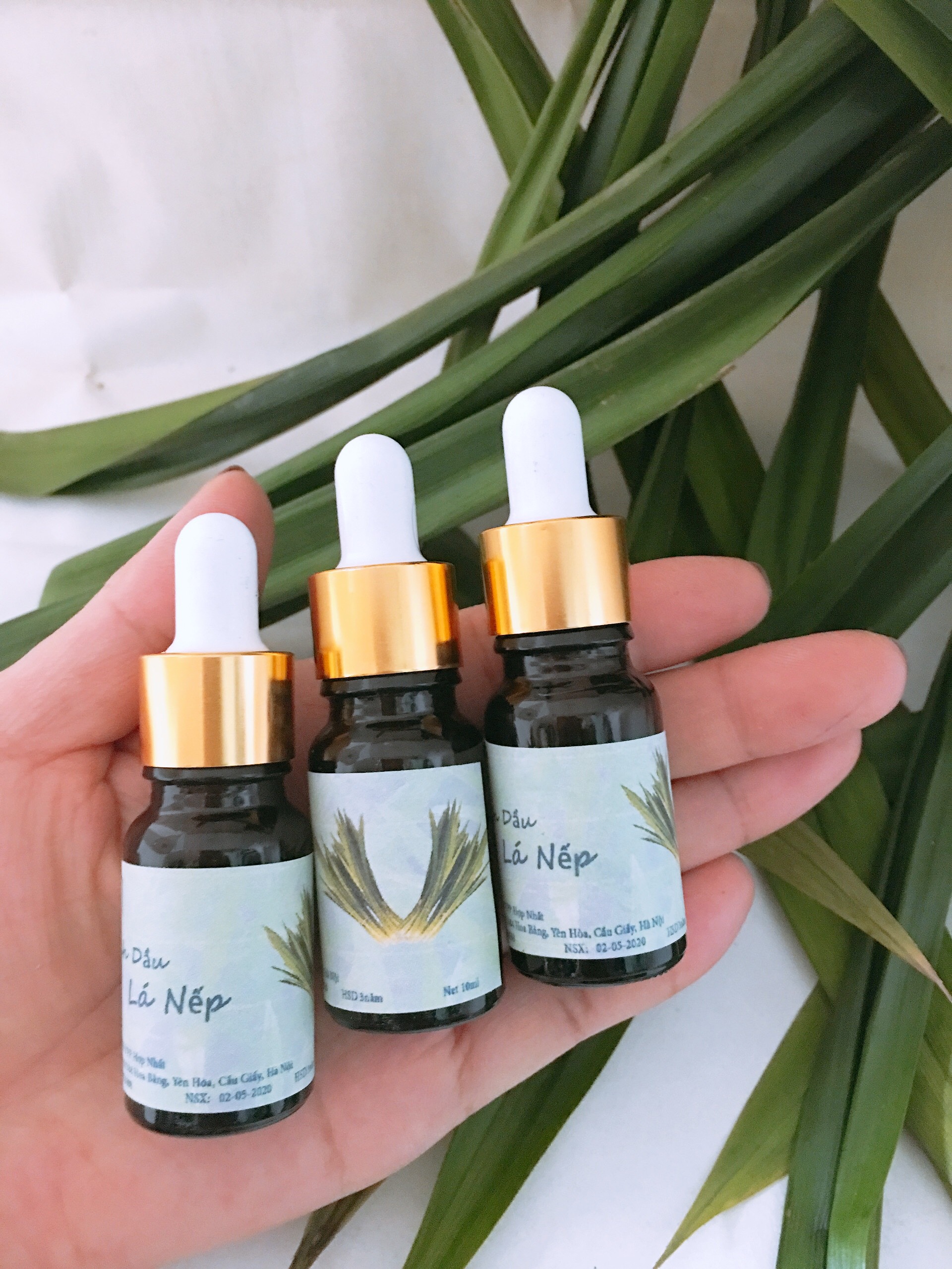 Combo 03 Lọ Tinh dầu Lá Nếp thơm 10ml