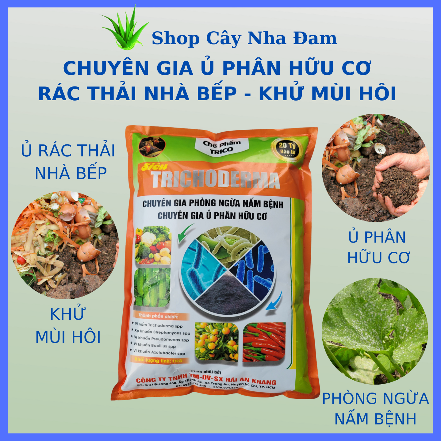 Chế phẩm trichoderma cao cấp chuyên ủ các loại phân hữu cơ cho mọi cây trồng