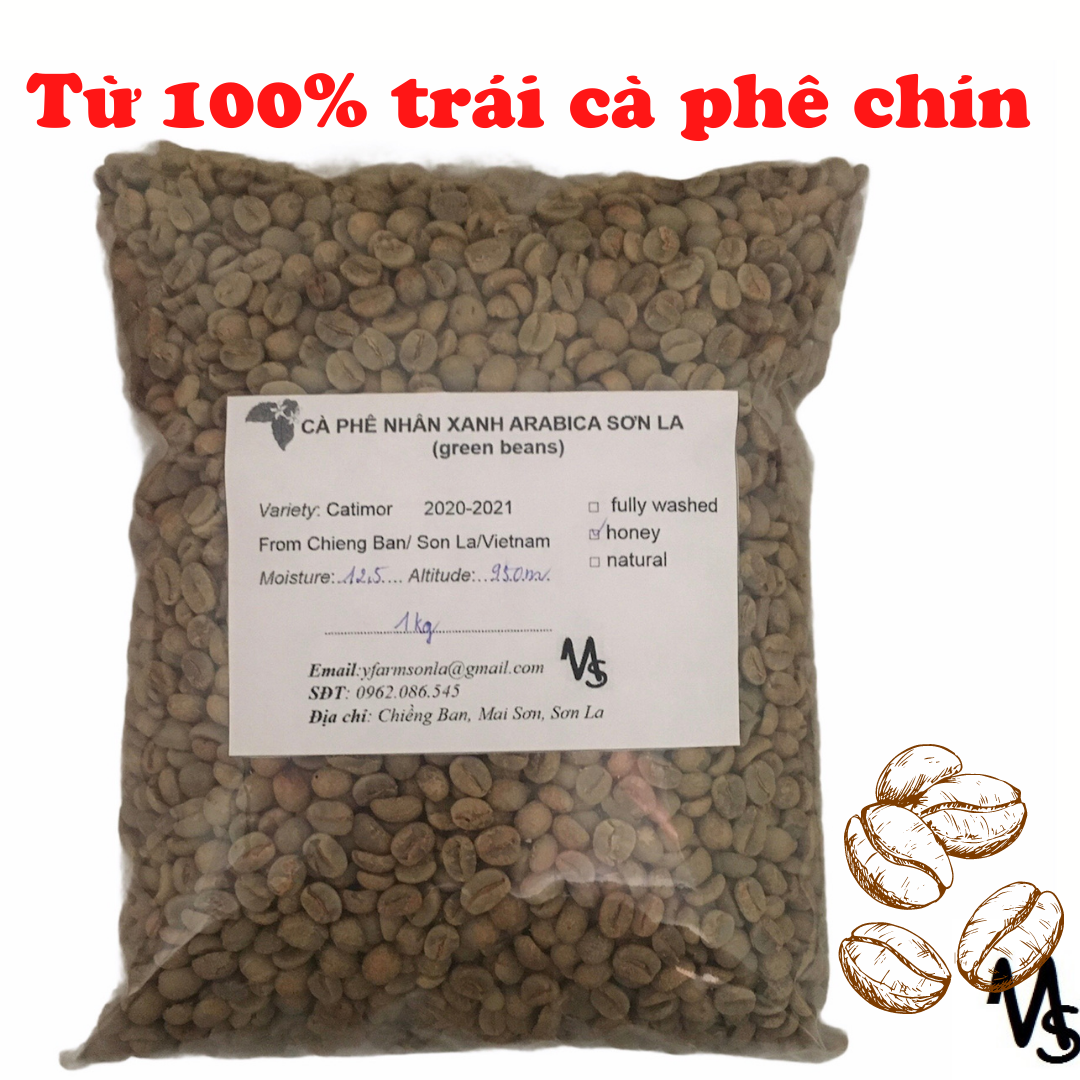 Cà phê nhân xanh arabica sơn la 1kg sơ chế honey