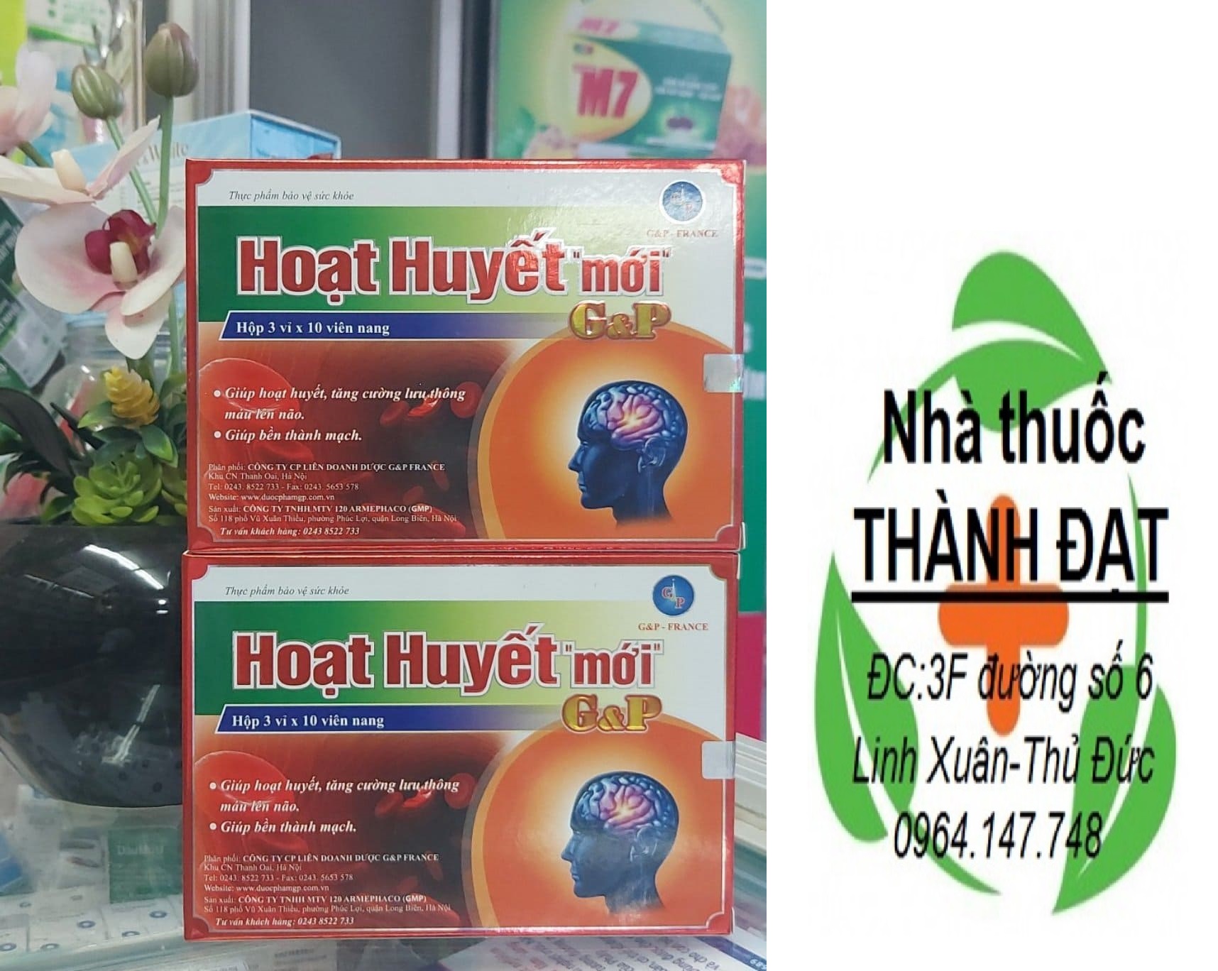 Hoạt huyết " mới" g&p lưu thông máu não rối loạn tiền đình gp, hỗ trợ tăng cường tuần hoàn máu lên não, giúp giảm nguy cơ hình thành cục máu đông