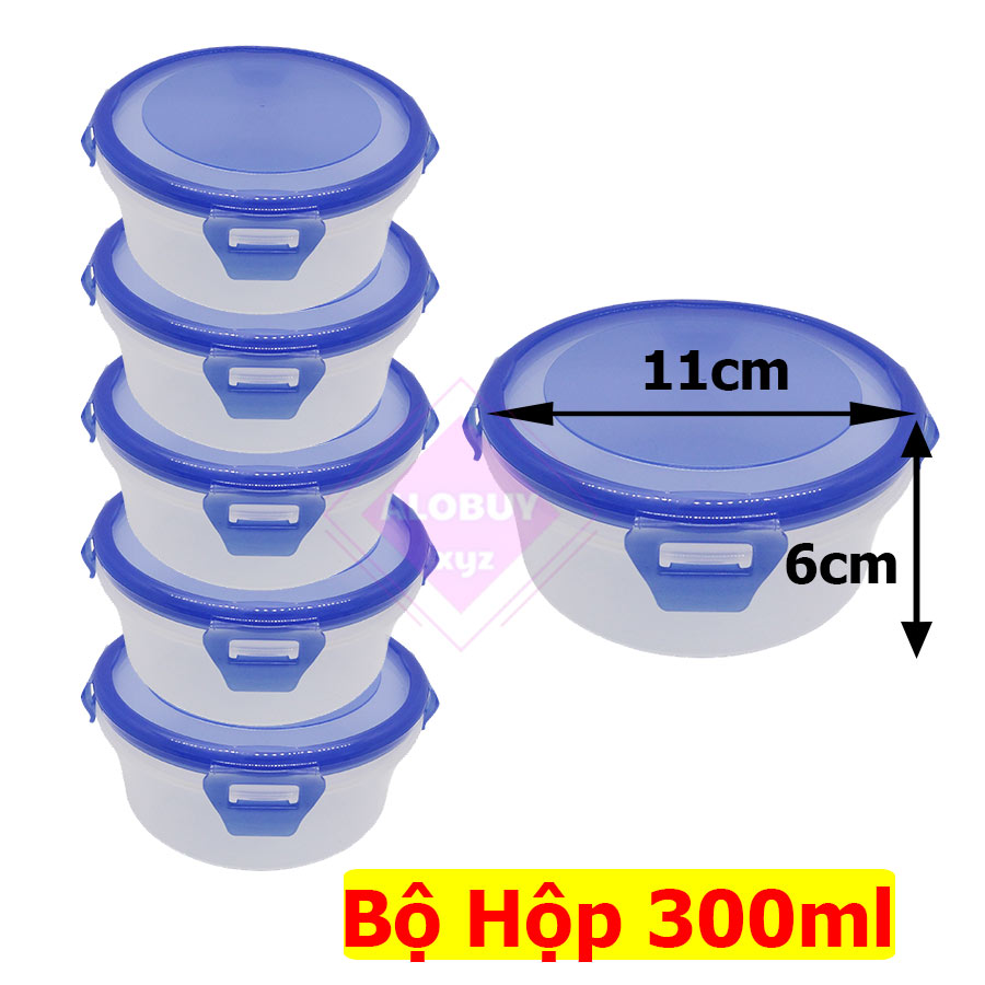 Combo 5 hộp nhựa đựng thực phẩm hộp cao cấp có nắp khóa dung tích 300ml- HCC01