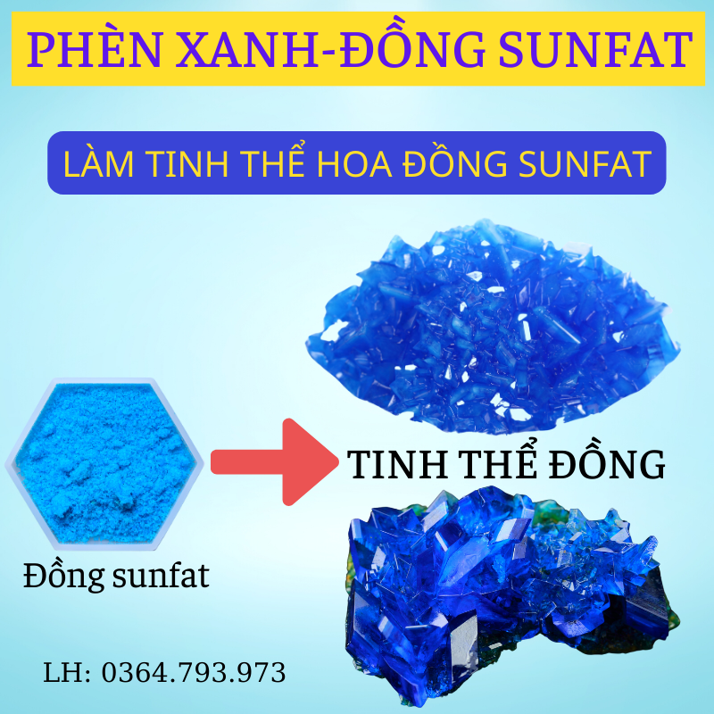 Đồng Sunphat⚡Đồng Sulfat⚡Đồng Sulphat dùng Cắt Rong Rêu, Tảo, Nấm trên Cá⚡ đồng sunfat