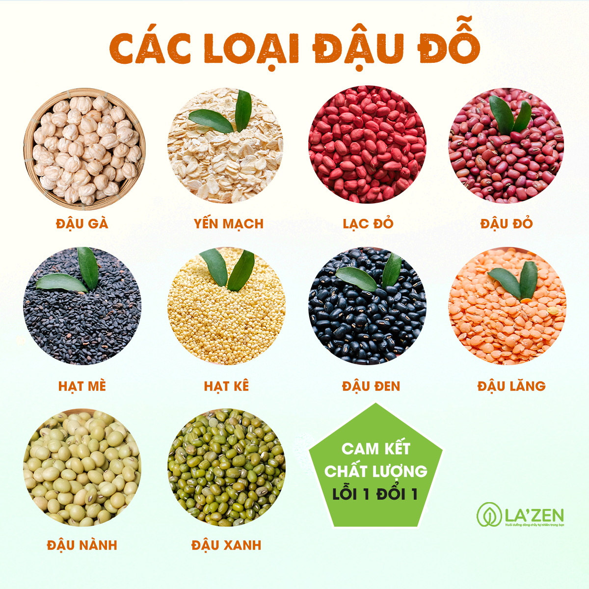 10 Loại Đậu & Ngũ cốc tự nhiên Làm Sữa, Nấu Cháo Cho Bé Ăn Dặm La'zen