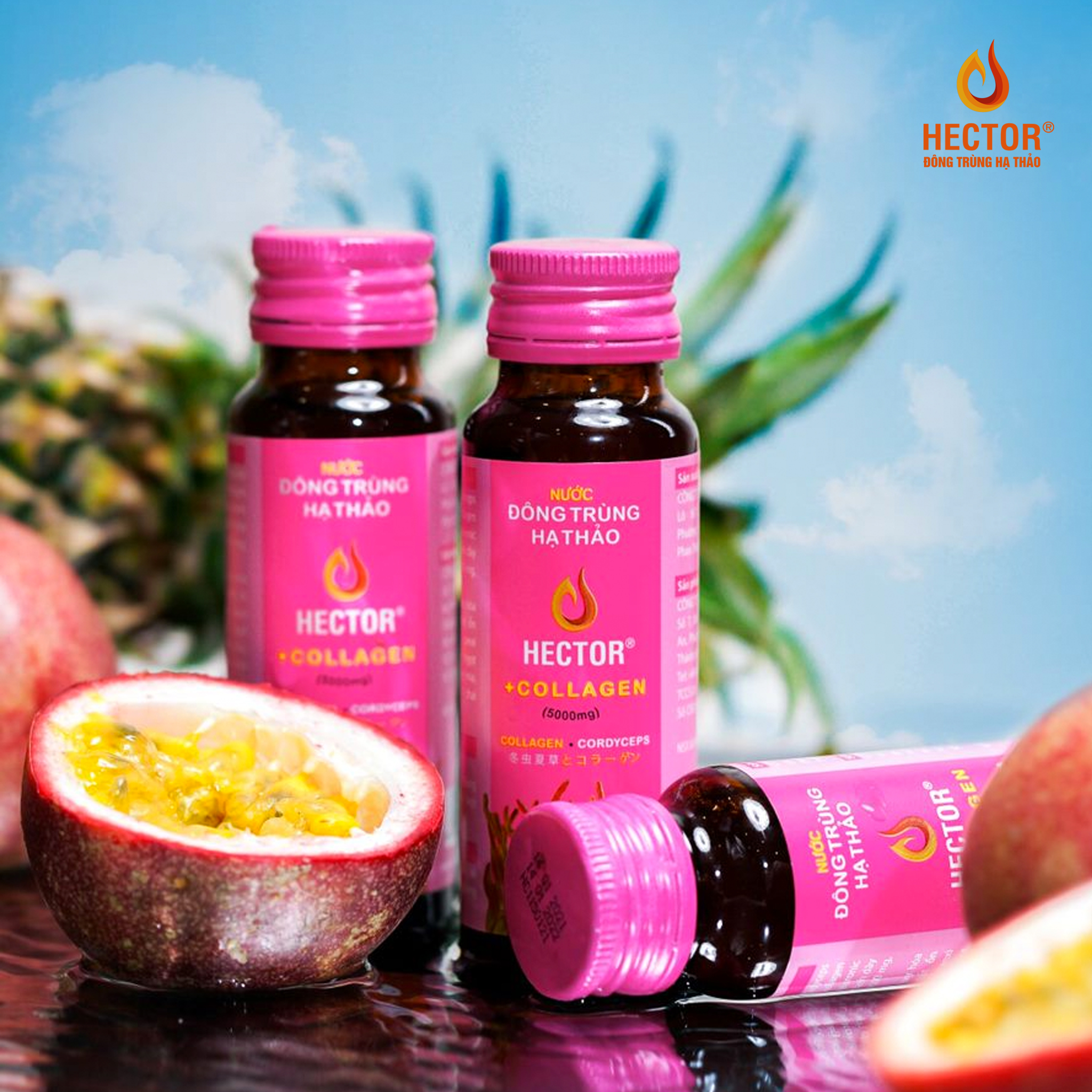 Đông Trùng Hạ Thảo Hector Collagen đẹp da, mờ nám, Trẻ hóa nhanh - hộp 10 lọ