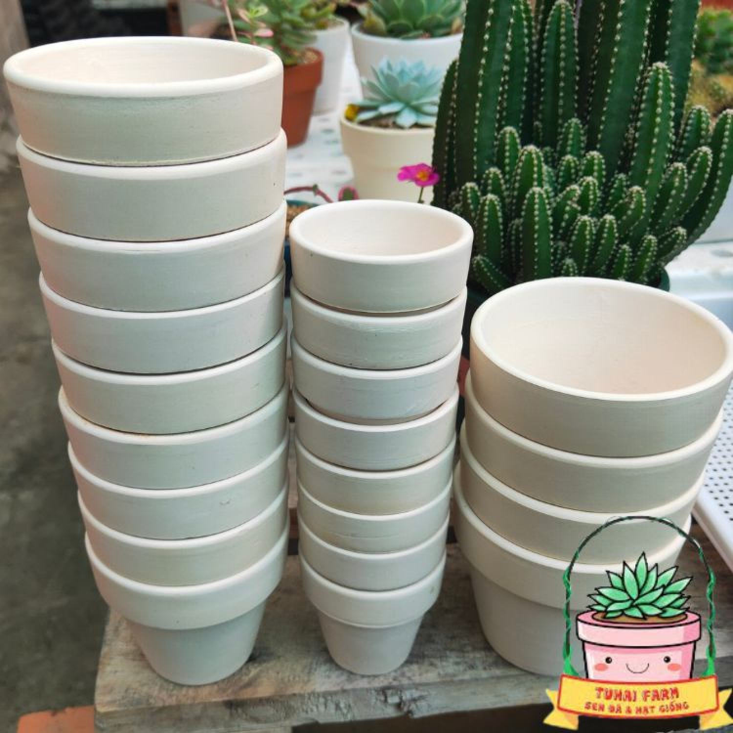 Chậu đất nung mini - chậu trồng sen đá, xương rồng, bonsai - nhiều kích thước 5-7-9-11cm mẫu cao