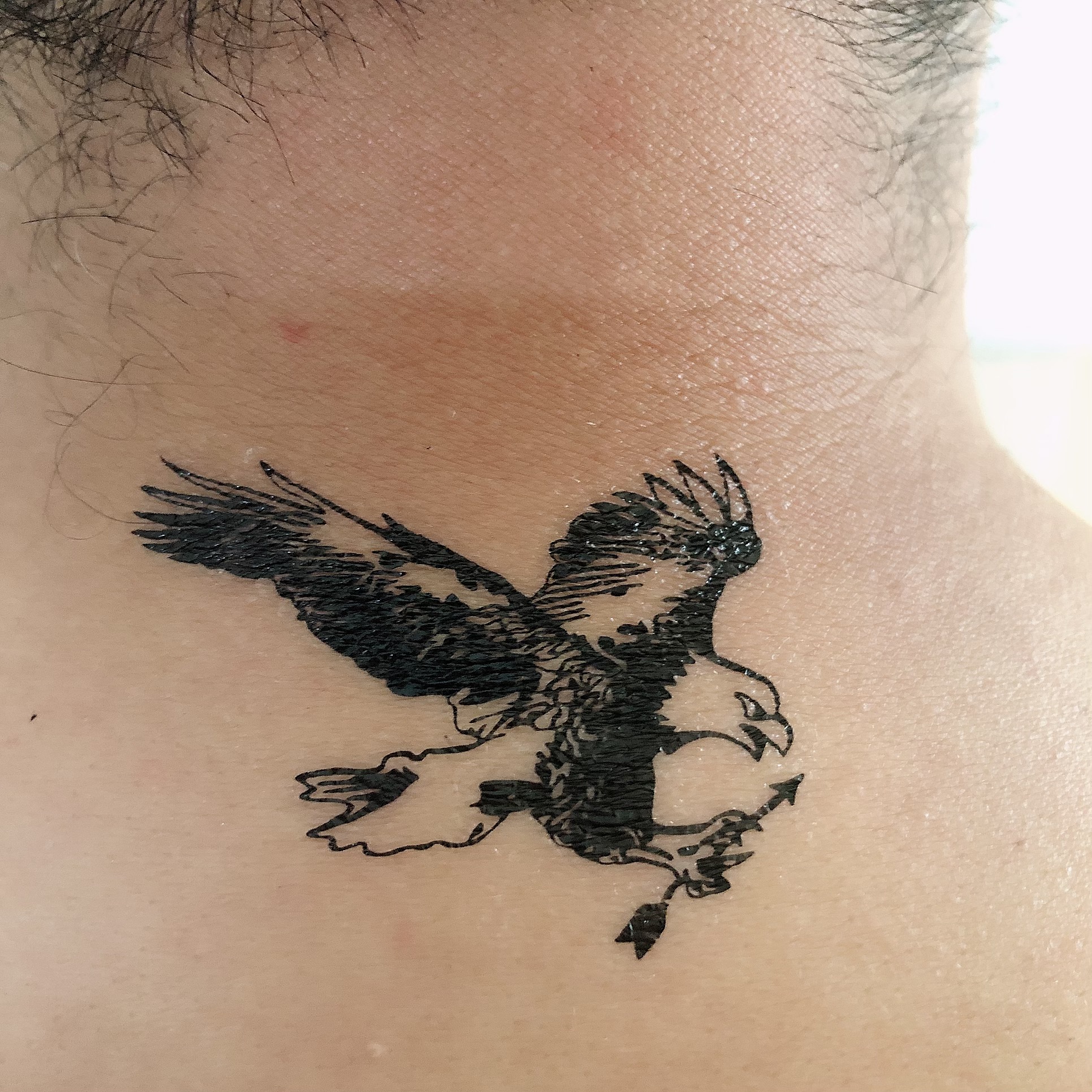 [HCM]Combo 6 tấm hình xăm dán tattoo 10x6cm CHIM CÚ MÈO ĐẸP LẠ LÙNG (Một tấm gồm nhiều hình)