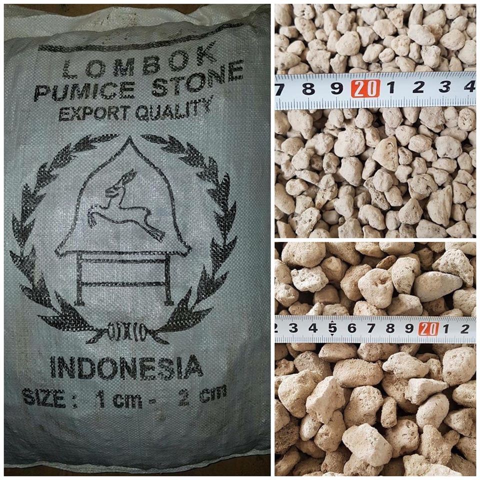 Đá bọt trồng lan - tăng độ thoáng, cung cấp khoáng chất cho cây (size 1-2cm)