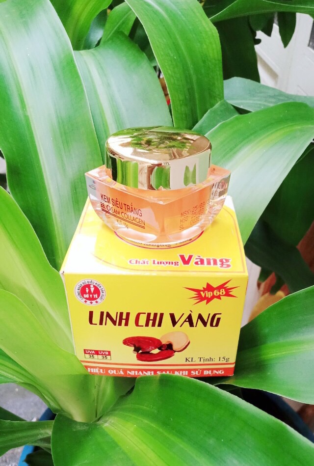 Kem siêu trắng linh chi vàng 15g