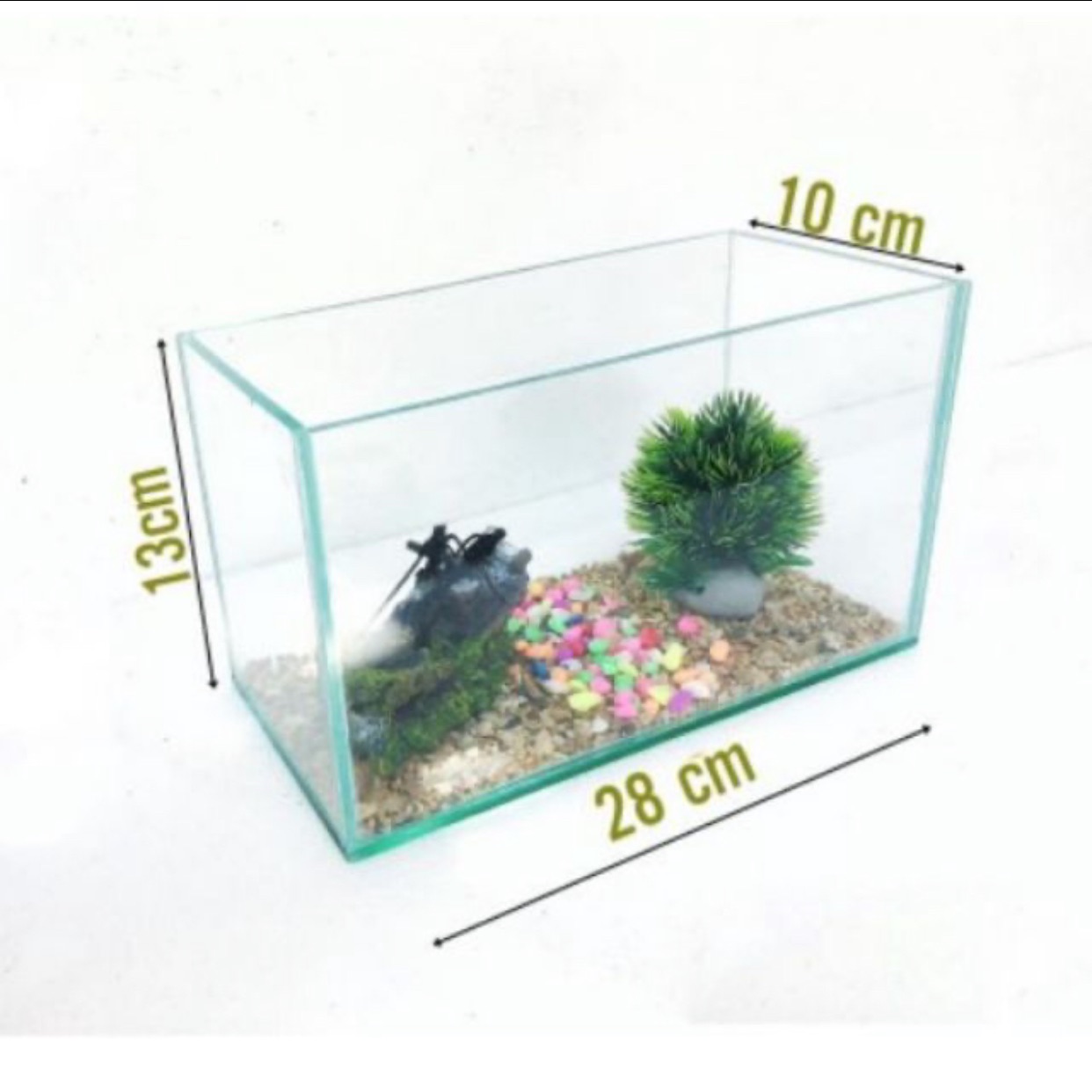Hồ cá mini 28x10x13