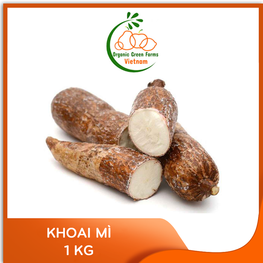 - khoai mỳ -
