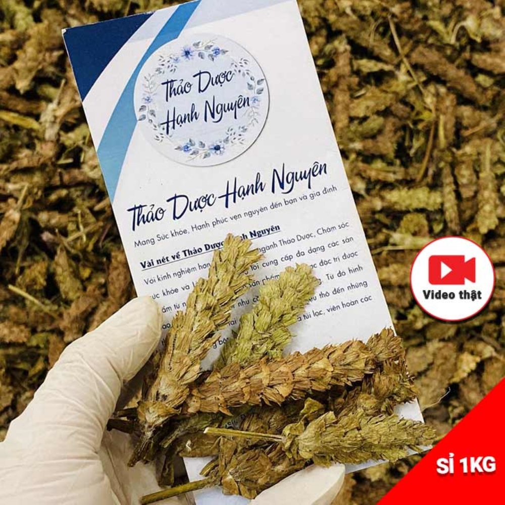 Hạ Khô Thảo 1kg Hỗ Trợ Điều Trị Huyết Áp Cao