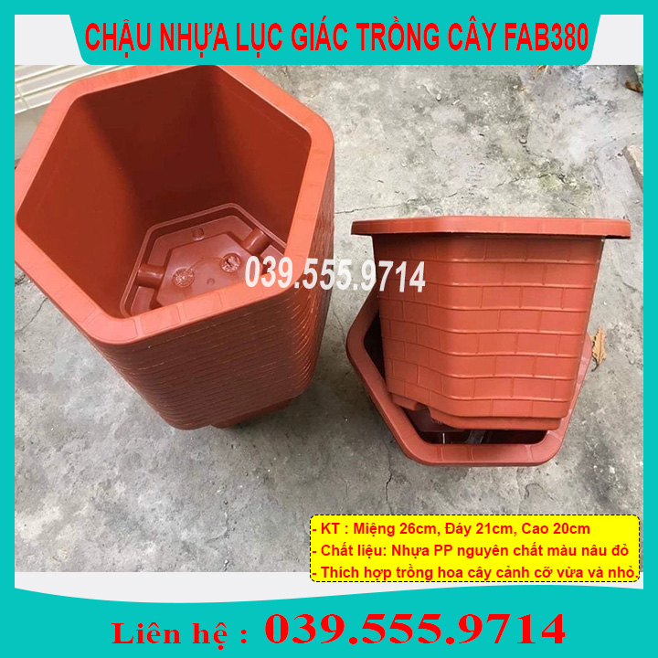 5 Chậu nhựa lục giác trồng cây, hoa hồng FAB380