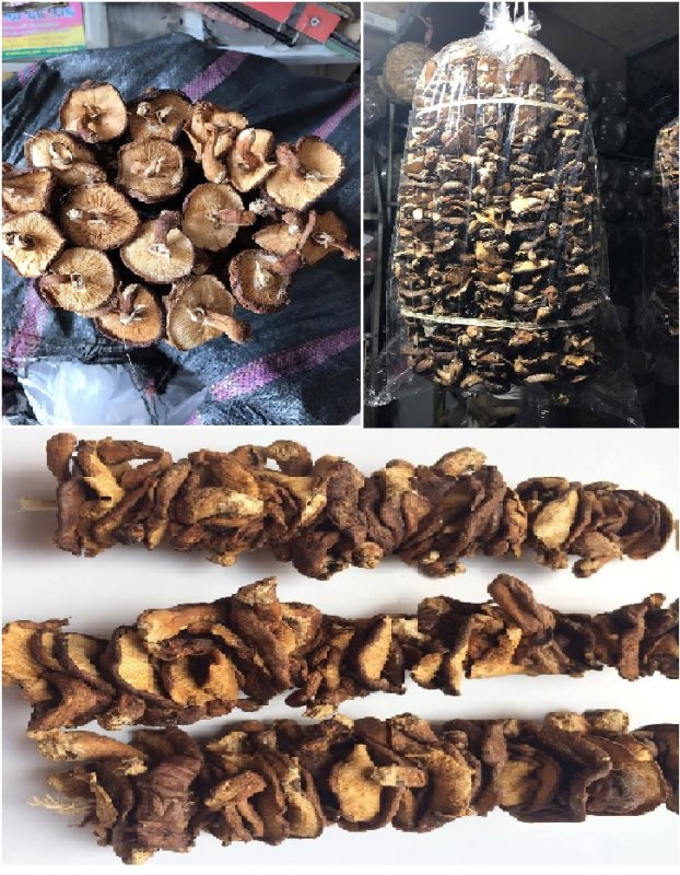 1kg nấm hương rừng xiên que phơi khô tự nhiên
