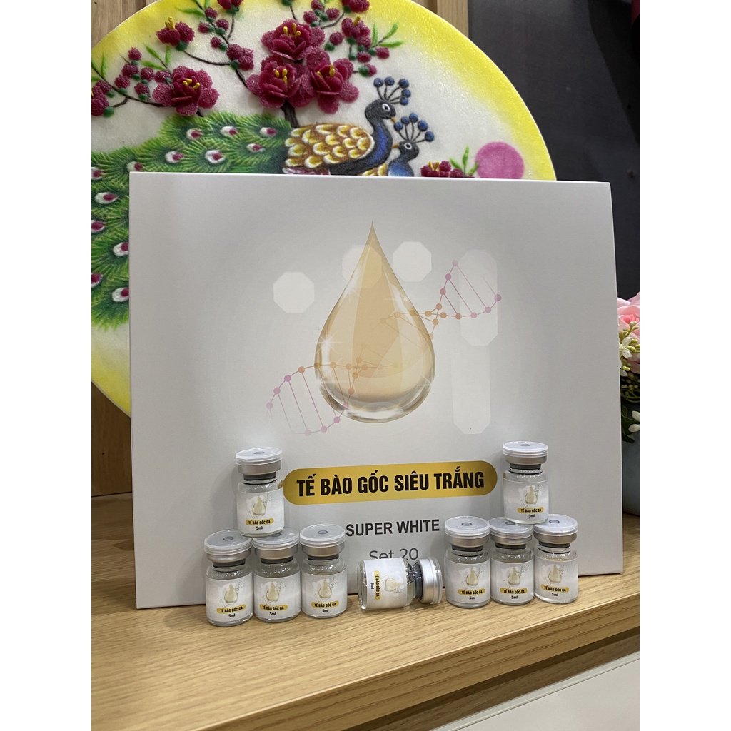 Tế bào gốc siêu trắng super white loại 1 nắp trắng