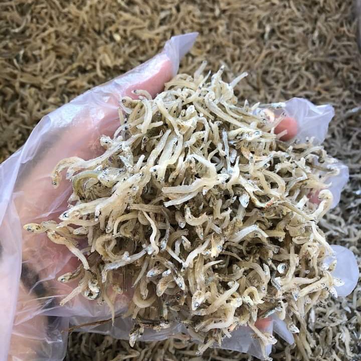 [HCM]Cá cơm mờm sữa