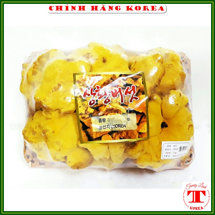 Nấm thượng hoàng hàn quốc, khay vip 1kg - Nấm linh chi thượng hoàng thanh lọc cơ thể. phòng ung thư - tranglinhkorea