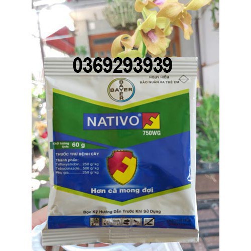 Nativo 750wg 60gram thuốc trừ bệnh cây