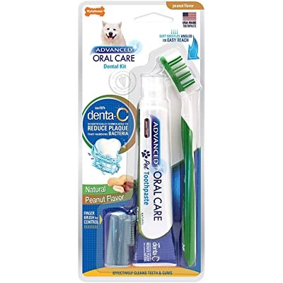 [HCM]Kem Đánh Răng Và Bàn Chải Cho Chó Nylabone Advanced Oral Care Natural Dog Dental Kit