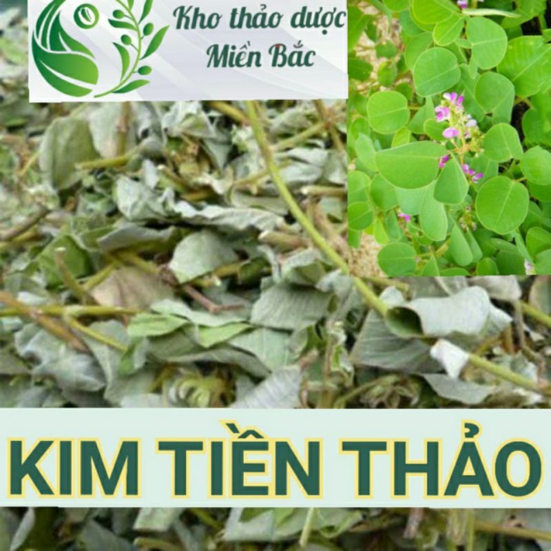 Kim tiền thảo - cây mắt trâu - 500g/ 1kg - hàng mới, khô, sạch, thơm