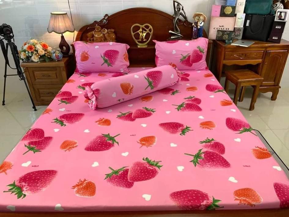 Combo 4 Món Ga Vỏ Gối chất thun lạnh