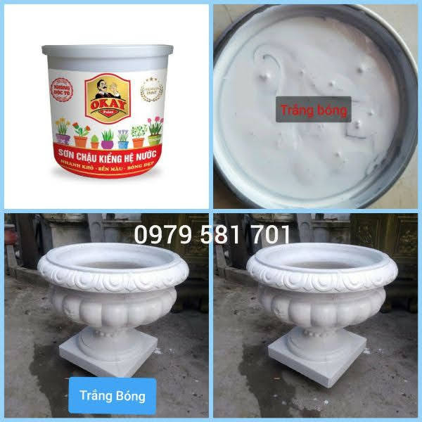 Sơn chậu kiểng màu trắng hệ nước lon 1kg