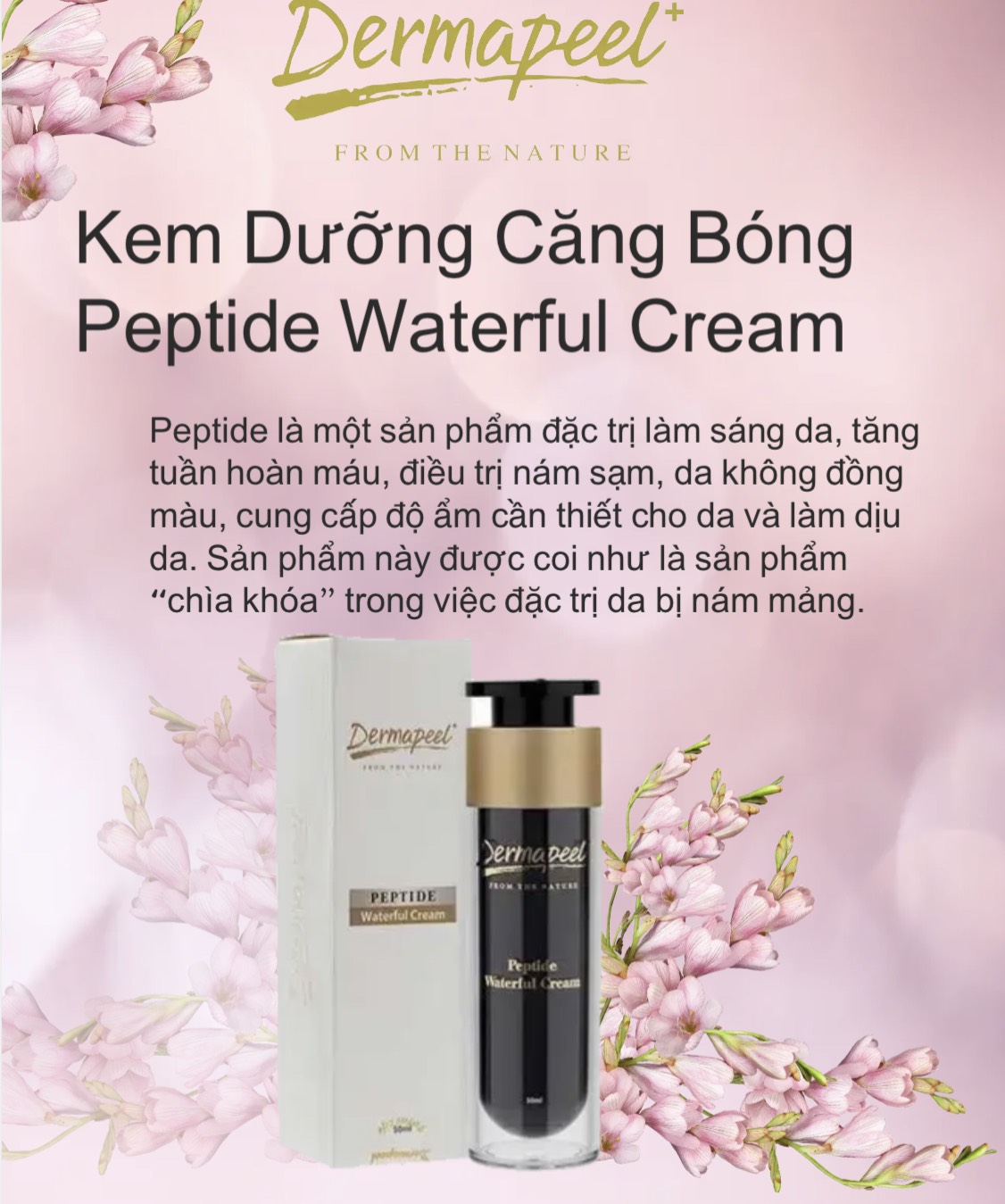 Kem Peptide Dermapeel căng bóng cấp ẩm da