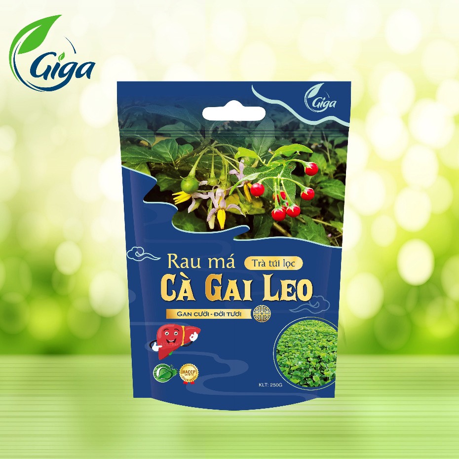 Trà túi lọc rau má - cà gai leo hỗ trợ men gan, thanh lọc cơ thể 250g