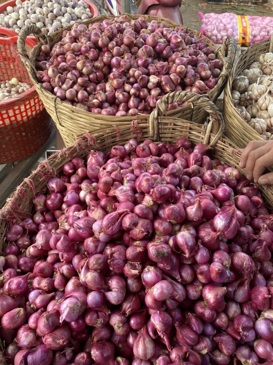 Hành tím khô tròn to 1 nhánh, lựa chọn kỹ, hành khô đẹp, sạch
