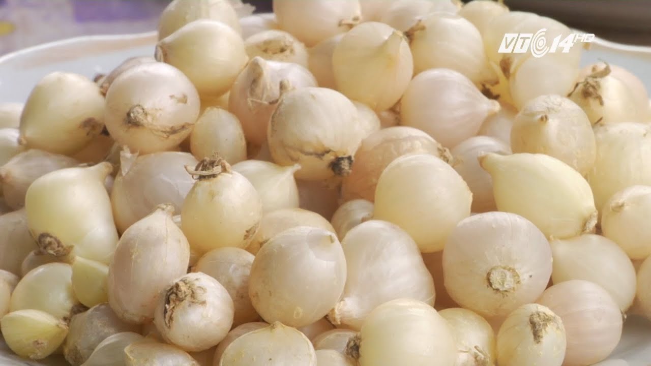 [HOT] CỦ NÉN , HÀNH TĂM NHÀ TRỒNG ĐẢM BẢO CHẤT LƯỢNG